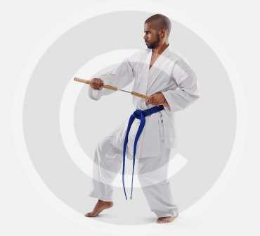 Playing Mantis Kung-fu